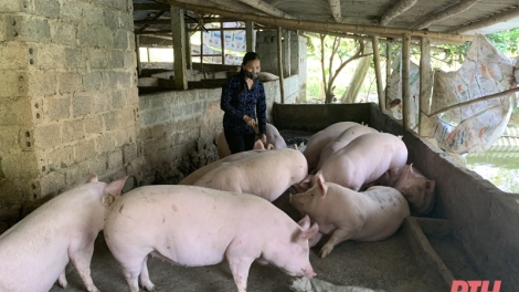 Thanh Hoá: Hiệu quả chính sách tín dụng hộ nghèo tại huyện Bá Thước. 