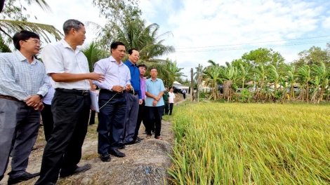 Đảm bảo nguồn nước khi hạn mặn xâm nhập khu vực Đồng bằng Sông Cửu Long 