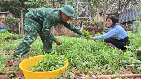 Mô hình rau xanh Biên phòng - hành động nhỏ, ý nghĩa lớn (02/03/2025)