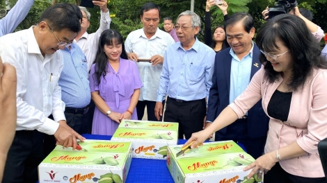 Nông dân lớn mạnh nhờ liên kết sản xuất (05/03/2025)