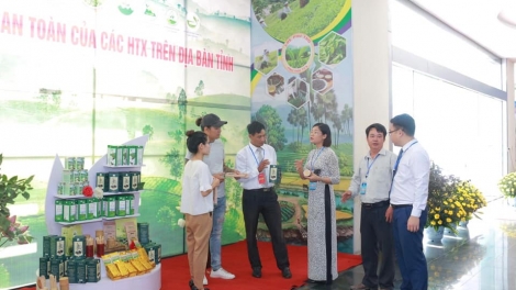 Phát triển hợp tác xã trong bối cảnh mới (29/04/2025)