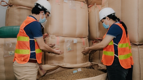 Doanh nghiệp cà phê Đắk Lắk trước áp lực thuế từ Mỹ