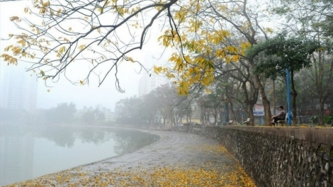 Thời tiết ngày 11/4: Hà Nội có sương mù, trưa chiều giảm mây trời nắng