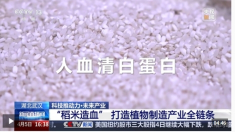 Trung Quốc hiện thực hóa sản xuất albumin huyết thanh người quy mô lớn từ gạo