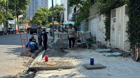 Giám đốc Sở GTCC TP.HCM lên tiếng việc chính trang vỉa hè ảnh hưởng đến cây xanh