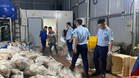 Chi cục quản lý thị trường Hà Nội phát hiện gần 11 tấn thịt và nội tạng bò không rõ nguồn gốc  