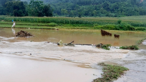 Mưa lớn diện rộng gây lũ trên toàn bộ hệ thống sông ngòi Lào Cai