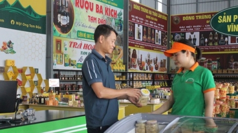 Phát triển bền vững sản phẩm OCOP: Động lực tăng trưởng kinh tế địa phương (12/05/2025)