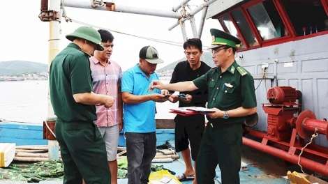 Chống khai thác IUU: tăng cường vai trò quản lý của địa phương