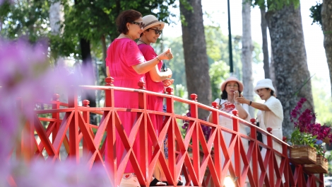 Festival Hoa Lan TP.HCM 2025: Kết nối văn hóa, du lịch với phát triển nông nghiệp đô thị