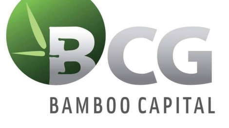 Ông Phạm Hữu Quốc được bổ nhiệm làm Tổng Giám đốc Tập đoàn Bamboo Capital