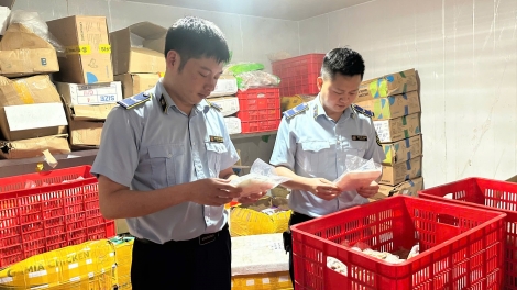 Thái Nguyên: Liên tiếp phát hiện thực phẩm đông lạnh không rõ nguồn gốc xuất xứ