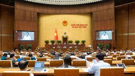 Thời sự 6h 16/5/2025: Quốc hội thảo luận về chính sách đặc biệt trong xây dựng, thi hành pháp luật.
