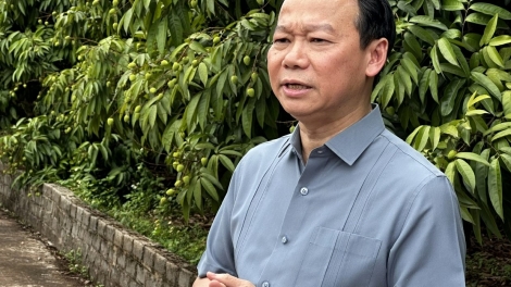 Bộ trưởng Đỗ Đức Duy: Tăng cường năng lực các bên tham gia trong chuỗi giá trị vải thiều