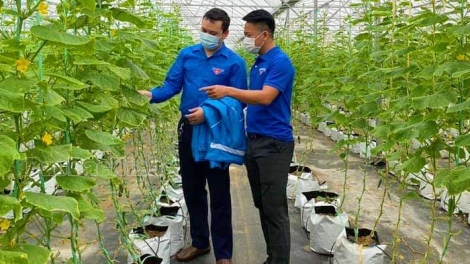 Bắc Ninh: Đồng hành với doanh nghiệp trẻ khởi nghiệp, đổi mới sáng tạo