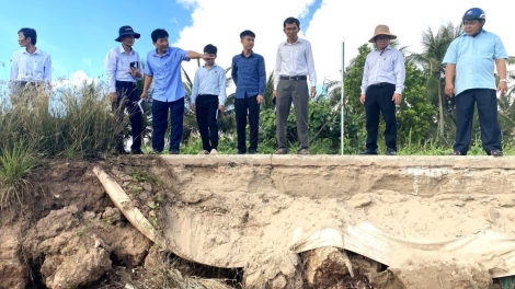 Sạt lở trên đê sông Tả Hữu Cù Lao Dung trong tình trạng khẩn cấp