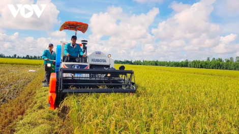 Cơ hội để Việt Nam đa dạng hoá thị trường sản phẩm nông nghiệp toàn cầu