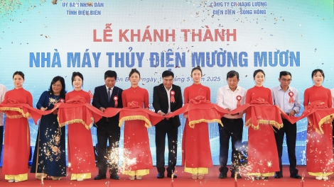 Bản tin 15h 15/5/2025