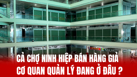 Cả chợ Ninh Hiệp bán hàng giả - Cơ quan quản lý đang ở đâu?