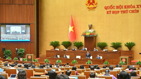 Bản tin 15h 20/5/2025