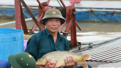 Tỷ phú nuôi cá đặc sản trên sông Đuống