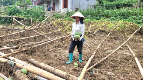 Bắc Kạn: Người dân chủ động khắc phục sản xuất sau mưa lũ