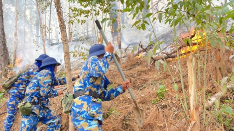 Lữ đoàn 147 tham gia chữa cháy rừng tại TP. Hạ Long, tỉnh Quảng Ninh.