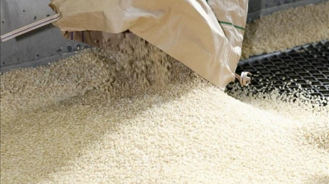 Nhật Bản lên kế hoạch tăng gần gấp đôi nguồn cung gạo dự trữ