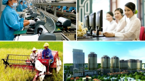 Phát triển kinh tế tư nhân trong nông nghiệp (26/05/2025)