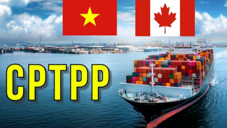 Thương vụ tại nước ngoài –chủ động hỗ trợ doanh nghiệp mở rộng kênh xuất khẩu hàng hoá Việt Nam