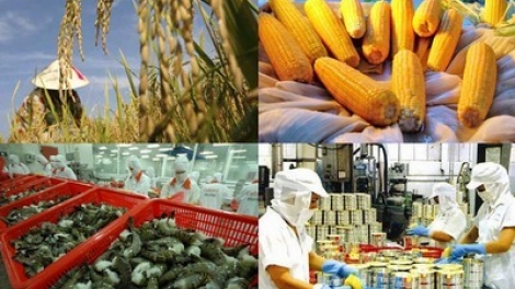 Giải pháp đa dạng hóa thị trường xuất khẩu nông sản