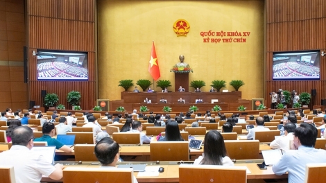 Theo dòng thời sự sáng 14/5/2025