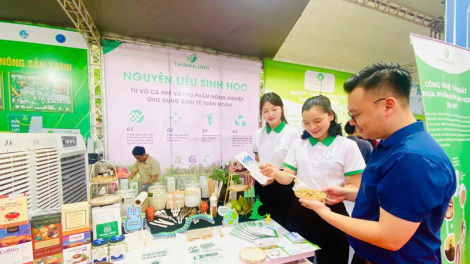 Thúc đẩy khởi nghiệp xanh cần có chính sách song hành (22/05/2025)
