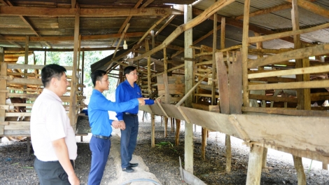 Hiệu quả từ chính sách cho vay vốn đói với thanh niên hoàn thành nghĩa vụ quân sự (Ngày 24/4/2025)