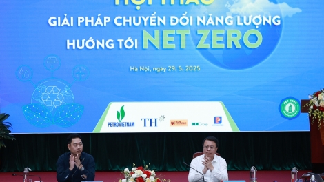 Nhanh chóng chuyển sang các nguồn năng lượng tái tạo hướng tới Net Zero