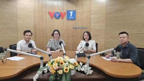 Vì sao trào lưu “Việt Nam is calling” - “Việt Nam vẫy gọi” gây bão?