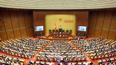 Thời sự 12h 11/6/2025: Sáp nhập tỉnh quyết định lịch sử, tái cấu trúc phát triển địa phương