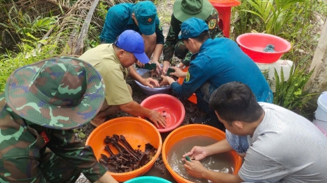 Bến Tre: Tìm kiếm, cất bốc được 51 bộ hài cốt liệt sĩ đã thất lạc trong lòng đất