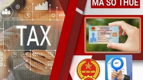 Người nộp thuế lưu ý khi sử dụng số định danh cá nhân thay cho mã số thuế từ 1/7/2025