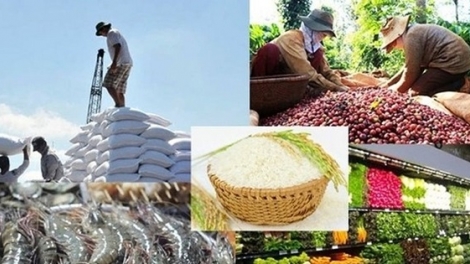 Nông dân làm giàu nhờ nông sản xuất khẩu (30/06/2025)
