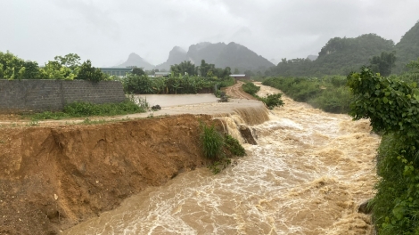 Thời sự 6h 8/6/2025: Mưa lớn diện rộng các tỉnh phía Bắc làm 2 người thương vong