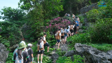 Ươm mầm tình yêu thiên nhiên qua mỗi bước chân khám phá: Trại hè Summer Camp 2025 