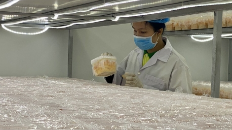 Bà Rịa – Vũng Tàu nỗ lực đưa sản phẩm OCOP đến người tiêu dùng