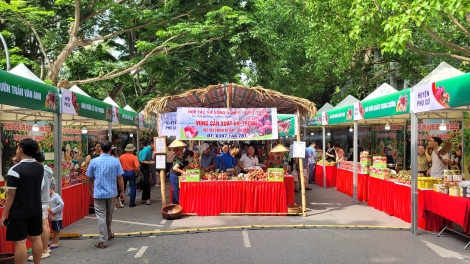 Phiên chợ vải Hưng Yên 2025: Kết nối, lan tỏa giá trị trái vải đến người tiêu dùng 