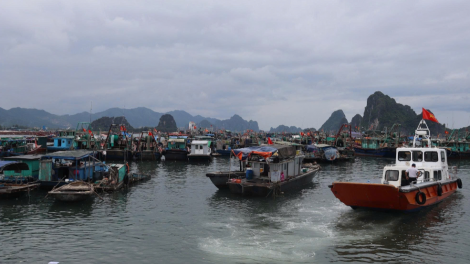Quảng Ninh chủ động ứng phó với bão số 1