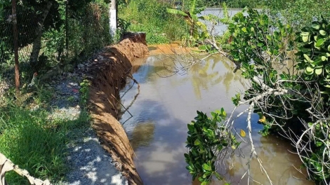 Hậu Giang: Chưa đầy 6 tháng đã xảy ra 30 điểm sụp đất, sạt lở bờ sông