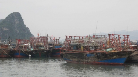 Quảng Ninh: Tạm ngừng cấp phép cho hoạt động và lưu trú trên biển tối và đêm 13/6
