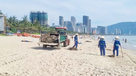 Đà Nẵng thu gom rác tại các bãi biển