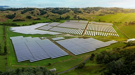 New Zealand khuyến khích phát triển điện mặt trời ở các trang trại