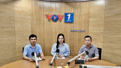 Cơ hội phát triển điện mặt trời mái nhà theo hình thức tự sản xuất, tự tiêu thụ